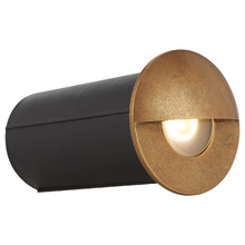 Iker Brass & Glass LED Step Light